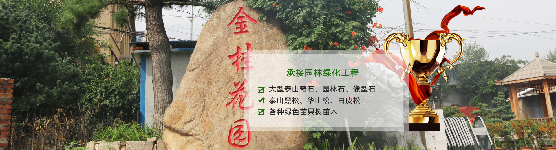 薬を持ち悩む女性